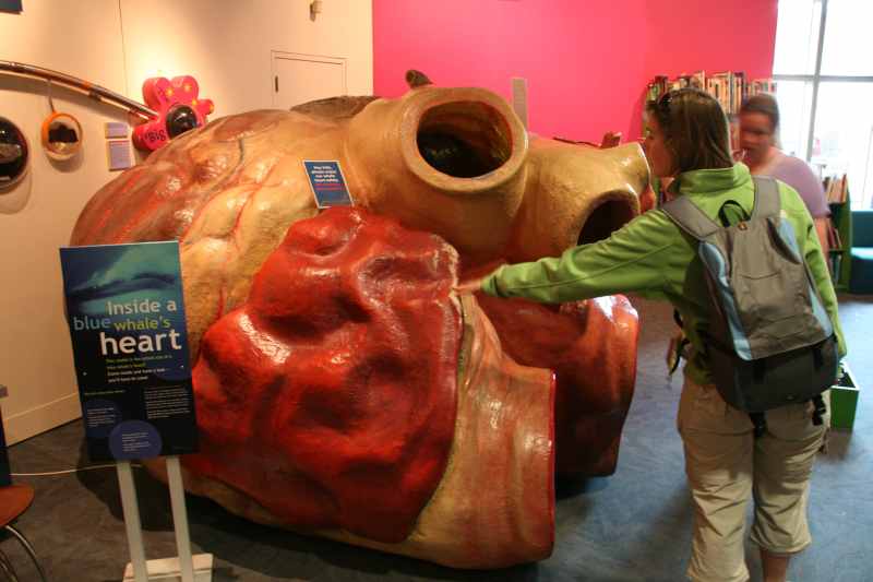 Nieuw-Zeeland 2011 - 0914